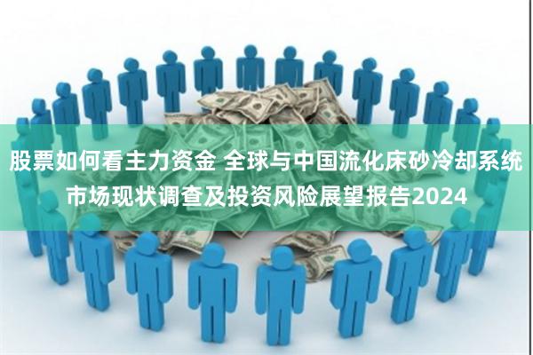 股票如何看主力资金 全球与中国流化床砂冷却系统市场现状调查及投资风险展望报告2024