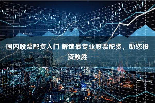 国内股票配资入门 解锁最专业股票配资，助您投资致胜