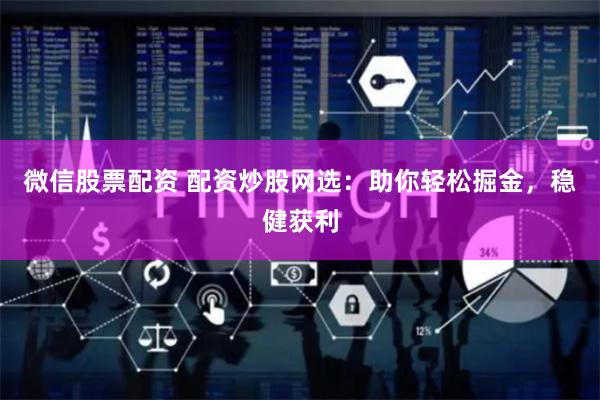 微信股票配资 配资炒股网选：助你轻松掘金，稳健获利